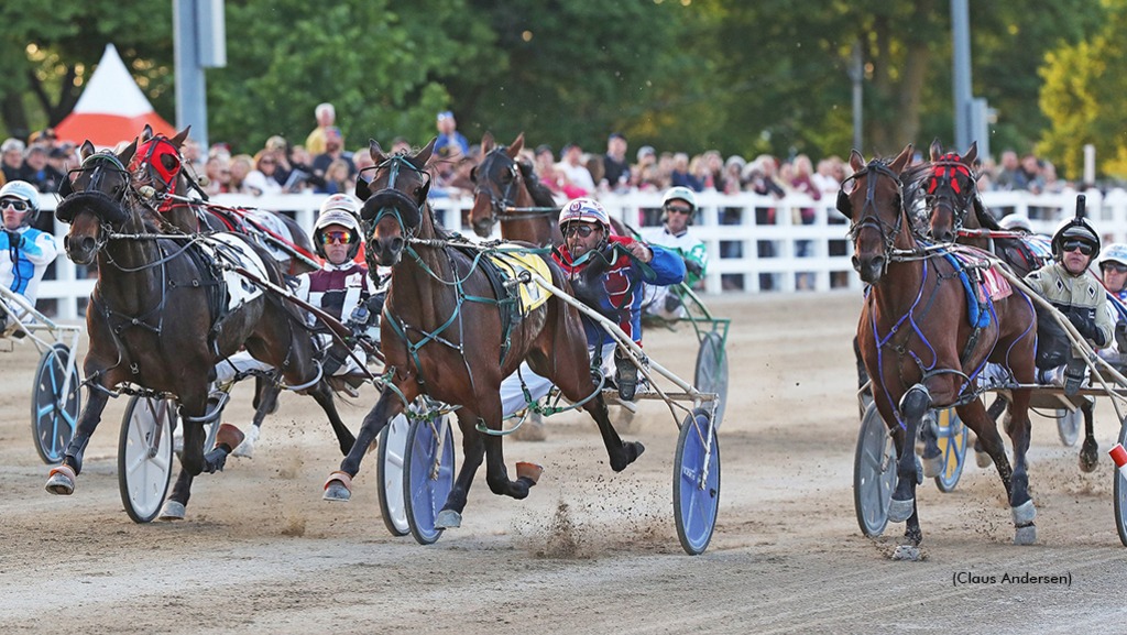 Yoda Queen winning City Of London Final (3 year old pacing filly)