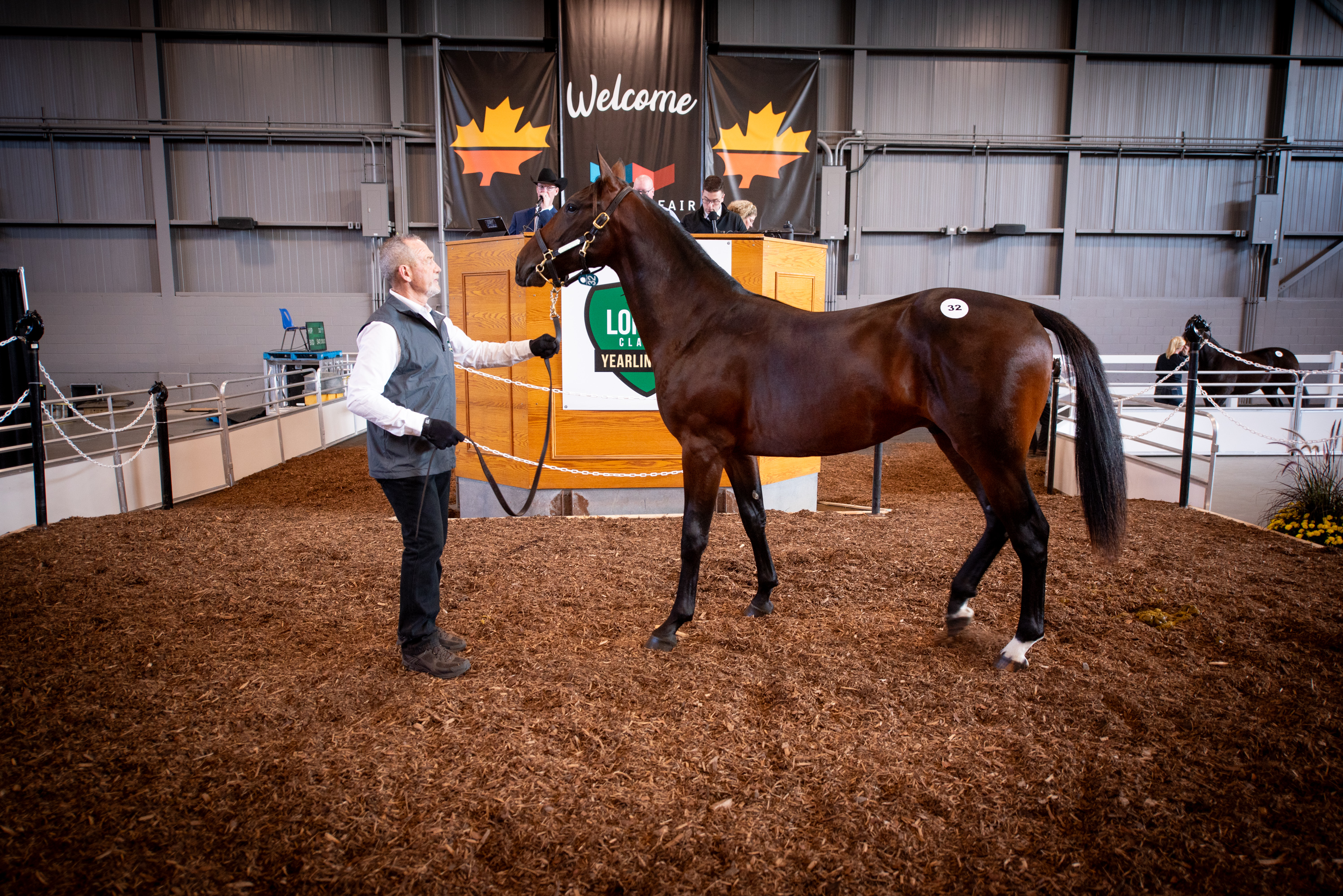 London Classic Yearling Sale